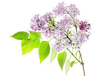 《守望先锋》国服高级战令补偿公布 最多可获得4400守望金币